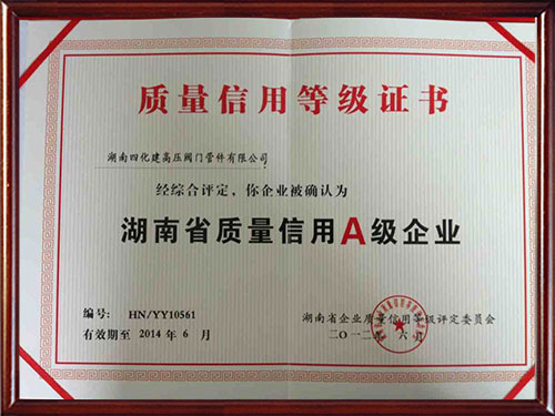 湖南高压阀门,湖南高压阀门管件,湖南四化建高压阀门管件有限公司